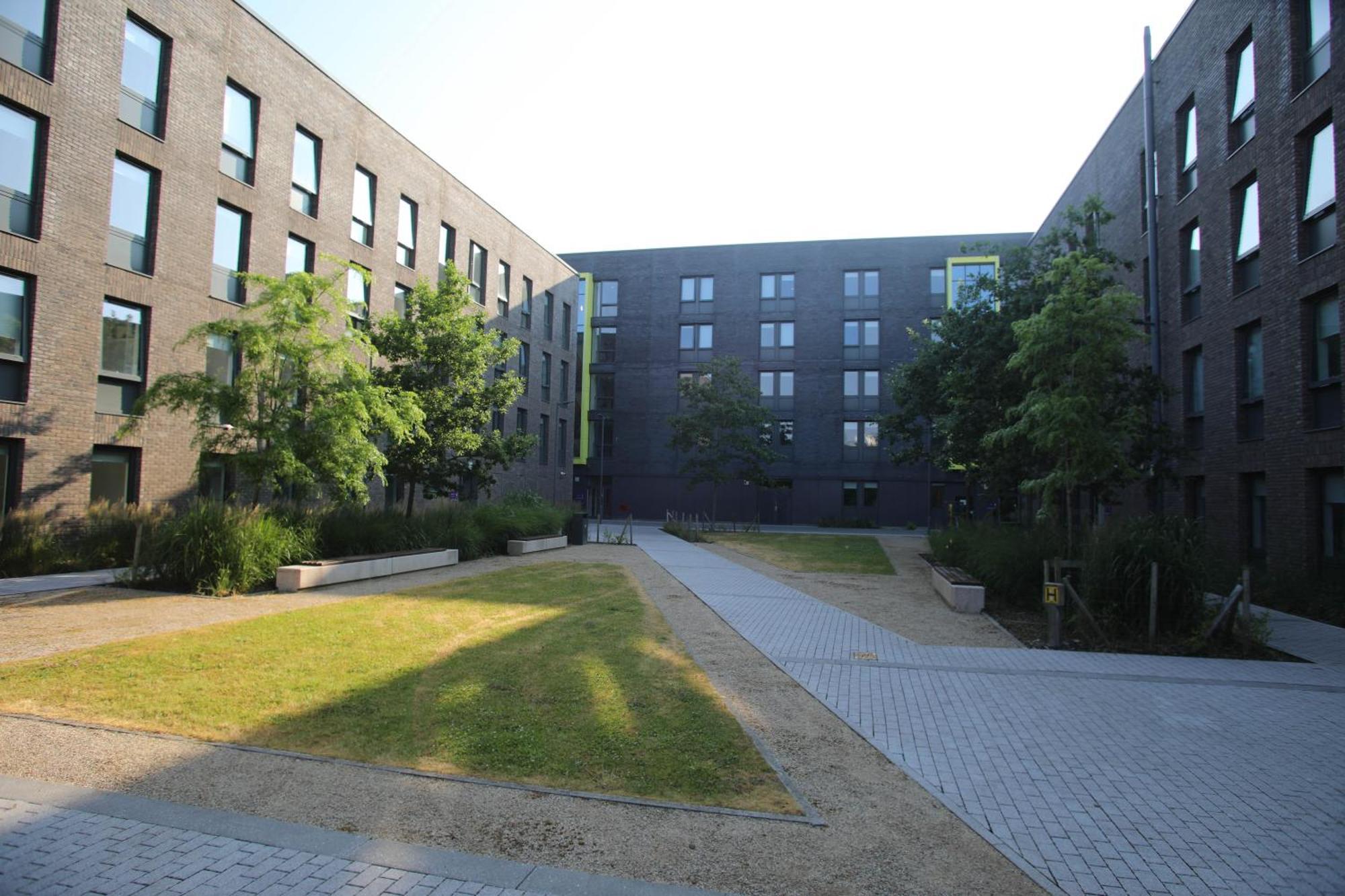 Goldcrest Village Apartments University Of 戈尔韦 外观 照片